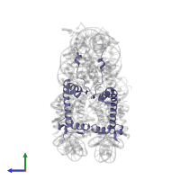 Histone H2A type 1-B in PDB entry 5xm1, assembly 1, side view.