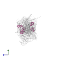 CARDIOLIPIN in PDB entry 5xtc, assembly 1, side view.