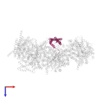 NADH dehydrogenase [ubiquinone] 1 alpha subcomplex subunit 11 in PDB entry 5xtc, assembly 1, top view.