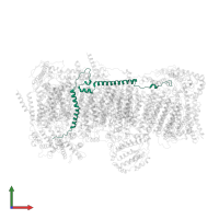 NADH dehydrogenase [ubiquinone] 1 beta subcomplex subunit 5, mitochondrial in PDB entry 5xtc, assembly 1, front view.