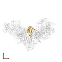 NADH dehydrogenase [ubiquinone] 1 alpha subcomplex subunit 10, mitochondrial in PDB entry 5xtd, assembly 1, front view.