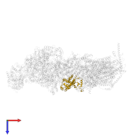 NADH dehydrogenase [ubiquinone] 1 alpha subcomplex subunit 10, mitochondrial in PDB entry 5xtd, assembly 1, top view.
