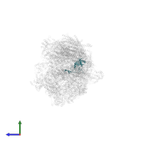 NADH dehydrogenase [ubiquinone] iron-sulfur protein 3, mitochondrial in PDB entry 5xth, assembly 1, side view.