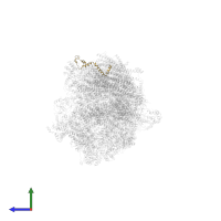 NADH dehydrogenase [ubiquinone] 1 alpha subcomplex subunit 3 in PDB entry 5xth, assembly 1, side view.