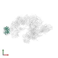 NADH dehydrogenase [ubiquinone] flavoprotein 1, mitochondrial in PDB entry 5xth, assembly 1, front view.