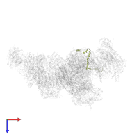 NADH dehydrogenase [ubiquinone] 1 beta subcomplex subunit 6 in PDB entry 5xth, assembly 1, top view.