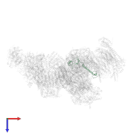 NADH dehydrogenase [ubiquinone] 1 beta subcomplex subunit 8, mitochondrial in PDB entry 5xth, assembly 1, top view.