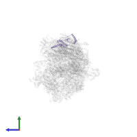 NADH dehydrogenase [ubiquinone] 1 beta subcomplex subunit 10 in PDB entry 5xth, assembly 1, side view.