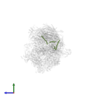 NADH dehydrogenase [ubiquinone] 1 beta subcomplex subunit 4 in PDB entry 5xth, assembly 1, side view.