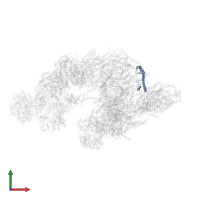 NADH dehydrogenase [ubiquinone] 1 beta subcomplex subunit 7 in PDB entry 5xth, assembly 1, front view.