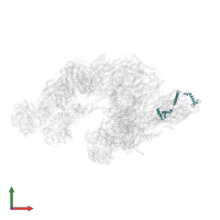 Cytochrome c oxidase subunit 4 isoform 1, mitochondrial in PDB entry 5xth, assembly 1, front view.