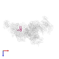 NADH dehydrogenase [ubiquinone] 1 alpha subcomplex subunit 6 in PDB entry 5xth, assembly 1, top view.