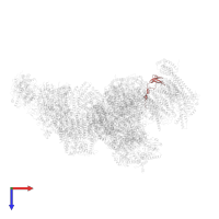 Cytochrome c oxidase subunit 5B, mitochondrial in PDB entry 5xth, assembly 1, top view.