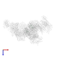 Cytochrome b-c1 complex subunit 9 in PDB entry 5xth, assembly 1, top view.