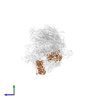 Cytochrome b-c1 complex subunit 1, mitochondrial in PDB entry 5xth, assembly 1, side view.