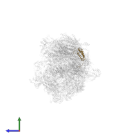 NADH dehydrogenase [ubiquinone] 1 alpha subcomplex subunit 5 in PDB entry 5xth, assembly 1, side view.