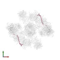 NADH dehydrogenase [ubiquinone] 1 beta subcomplex subunit 5, mitochondrial in PDB entry 5xti, assembly 1, front view.