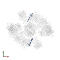 NADH dehydrogenase [ubiquinone] 1 beta subcomplex subunit 7 in PDB entry 5xti, assembly 1, front view.