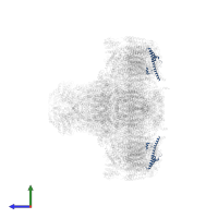 NADH dehydrogenase [ubiquinone] 1 beta subcomplex subunit 7 in PDB entry 5xti, assembly 1, side view.