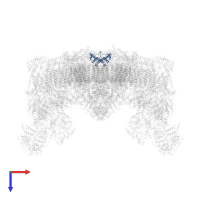 NADH dehydrogenase [ubiquinone] 1 beta subcomplex subunit 7 in PDB entry 5xti, assembly 1, top view.