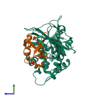 PDB entry 5xve coloured by chain, side view.