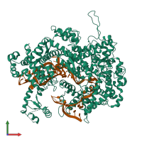 PDB entry 5xwy coloured by chain, front view.