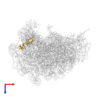 Ribosomal protein uL6 in PDB entry 5xxb, assembly 1, top view.