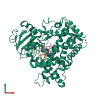 PDB entry 5xxi coloured by chain, front view.