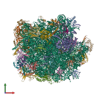 PDB entry 5xy3 coloured by chain, front view.