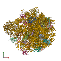 PDB entry 5xym coloured by chain, front view.