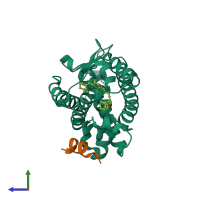 PDB entry 5xzh coloured by chain, side view.