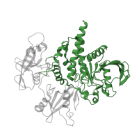 The deposited structure of PDB entry 5xzr contains 1 copy of CATH domain 3.90.190.10 (Protein-Tyrosine Phosphatase; Chain A) in Tyrosine-protein phosphatase non-receptor type 11. Showing 1 copy in chain A.