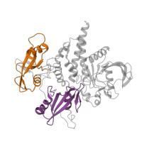 The deposited structure of PDB entry 5xzr contains 2 copies of Pfam domain PF00017 (SH2 domain) in Tyrosine-protein phosphatase non-receptor type 11. Showing 2 copies in chain A.