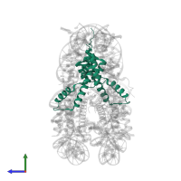 Histone H3.1 in PDB entry 5y0d, assembly 1, side view.