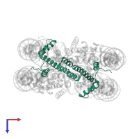 Histone H3.1 in PDB entry 5y0d, assembly 1, top view.