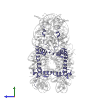 Histone H2A type 1-B/E in PDB entry 5y0d, assembly 1, side view.