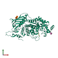 PDB entry 5y0v coloured by chain, front view.