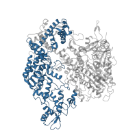 The deposited structure of PDB entry 5y36 contains 1 copy of Pfam domain PF16592 (REC lobe of CRISPR-associated endonuclease Cas9) in CRISPR-associated endonuclease Cas9/Csn1. Showing 1 copy in chain A.