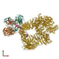 PDB entry 5y3r coloured by chain, front view.
