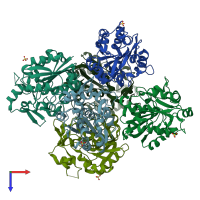 PDB entry 5y51 coloured by chain, top view.