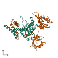 PDB entry 5y7y coloured by chain, front view.