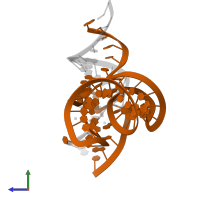 DNA/RNA (50-MER) in PDB entry 5y87, assembly 2, side view.