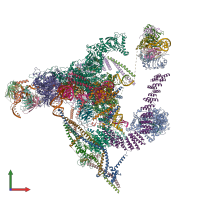 PDB entry 5y88 coloured by chain, front view.