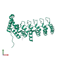 KN motif and ankyrin repeat domain-containing protein 1 in PDB entry 5ybj, assembly 1, front view.