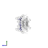 Kinesin-like protein KIF21A in PDB entry 5ybv, assembly 1, side view.