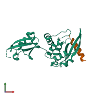 PDB entry 5yca coloured by chain, front view.