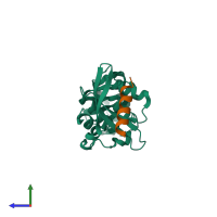PDB entry 5yca coloured by chain, side view.