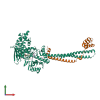 PDB entry 5yjb coloured by chain, front view.