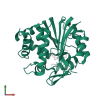 Nicotinamide N-methyltransferase in PDB entry 5yjf, assembly 1, front view.