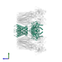 ATP-sensitive inward rectifier potassium channel 11 in PDB entry 5ykg, assembly 1, side view.